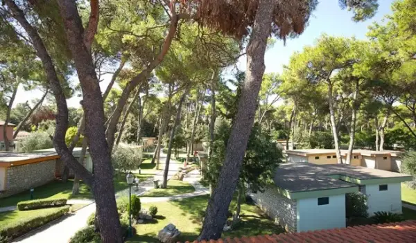 Fotografie hotelu San Antonio